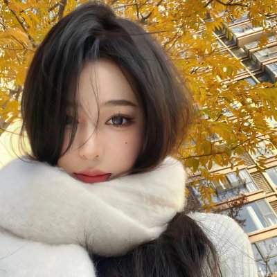 少数意见
